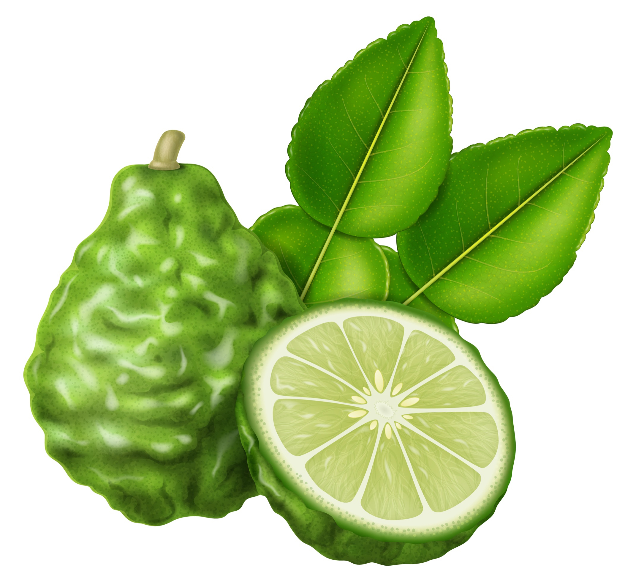 15% off Kaffir lime