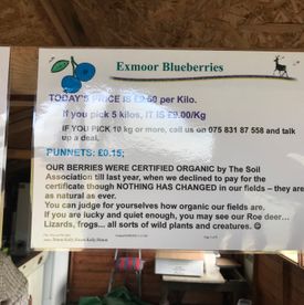 PYO blueberries reception hut - pricing